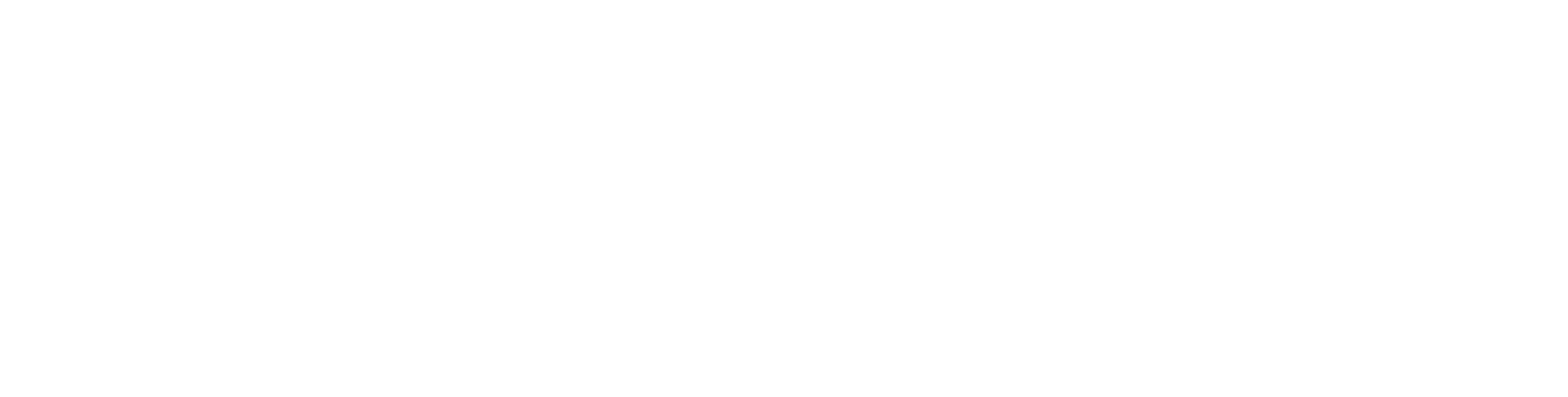 flicenflac Logo